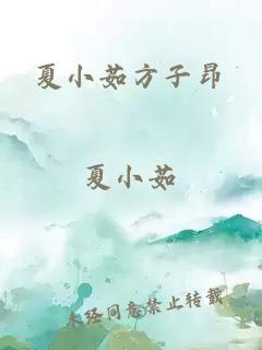 夏小茹方子昂