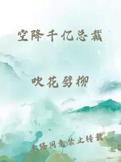 空降千亿总裁