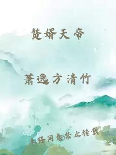 赘婿天帝