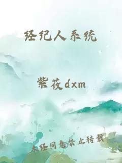 经纪人系统