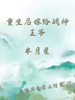 重生后嫁给战神王爷